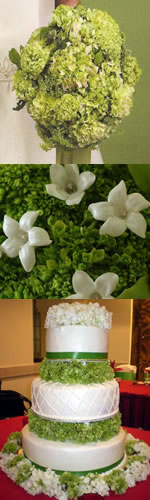 green hydrangea home graphic